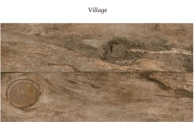 Village