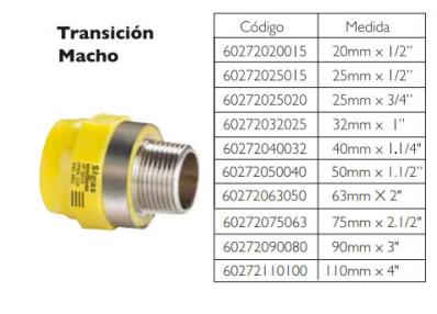 Transición macho