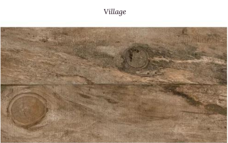Village